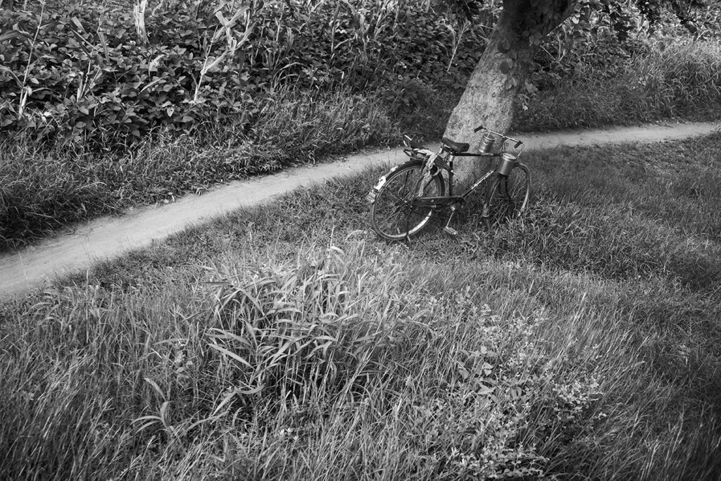 a quaint scene where a bicycle is seen standing against a tree with a couple of lunchboxes hanging from it as seen from a train passing through a forested area