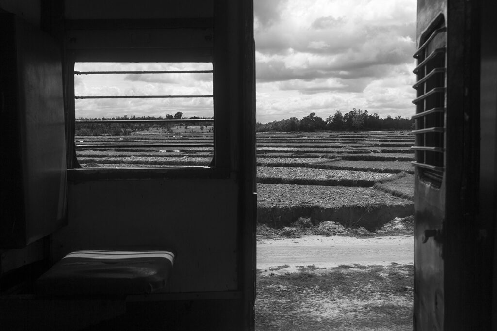 a view of farm fields on a train journey in India